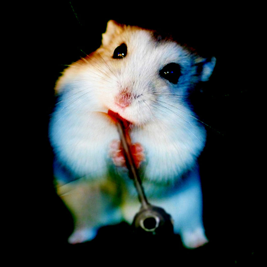 Pole Position
